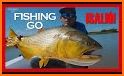 Fishing Go! related image