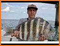 Sheepshead related image