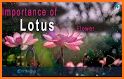 Lotus: Hindus App related image