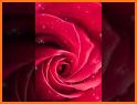 Valentine Roses Live wallpaper related image