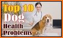 Dog health related image