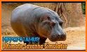 Ultimate Hippo Simulator related image