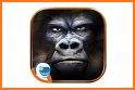 Super Gorilla Casino: Wild Slots related image