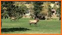 Estes Park Golf Courses related image