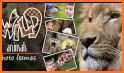 Wild Animal Photo Editor: Photo with Wild Animal related image