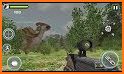 Dinosaurs Hunter Challenge jungle Safari Adventure related image