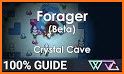 Forager guide New related image