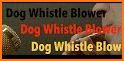 Dog Whistle - High Frequency Tone Dog Trainer related image