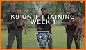 K9 Police Dog Training Game related image