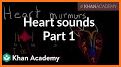 Heart Sounds And Murmurs related image