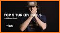 Turkey calls related image