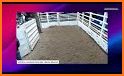 Horse Auctions USA related image