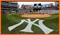 New York Baseball Yankees Edition related image