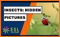 Insects and Bugs - Kids Learning Game related image