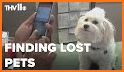 Patte - Find Lost Pets by Face Recognition related image