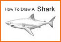 Shark Draw Step by Step related image