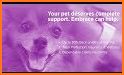 Embrace Pet Insurance related image