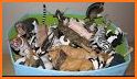 Find Them All: Wildlife and Farm Animals (Full) related image