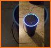 Listens for Alexa related image