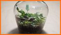 Terrarium related image