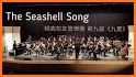 SeaShell Music Player related image