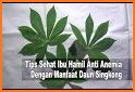 tips simpel cara mengatasi radang gusi saat hamil related image