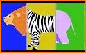 Animal Match : Shapes related image