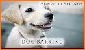 Barking Dog Sounds related image