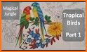 Bird Coloring Pages - Colorful Birds related image