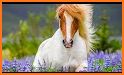 Wallpaper Wild Horse Beautiful related image