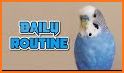 Fluffy Birds : Pet Life related image