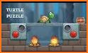 Turtle Puzzle: Brain Puzzle Games related image