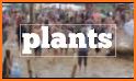 Spelling Plants related image