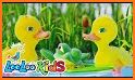 Music Duckling John for Children related image