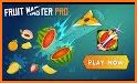 Fruit Master PRO related image