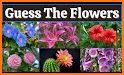 Flowers Quiz related image