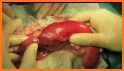 PET DOCTOR HOSPITAL: ANIMAL SURGERY HOSPITAL related image