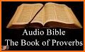 New International Version Holy Bible Audio NIV Pro related image