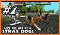 Stray Dog Simulator related image