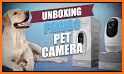 Look Here - Pet Camera related image