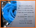 Beautiful Blue Rose. related image