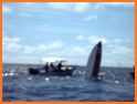 RaceTac For Sailboat Racing related image