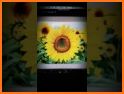 Sunflower Photo Editor related image