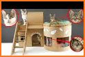 Indoor Cat House related image