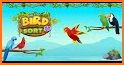 Color Bird Sort Puzzle Games related image