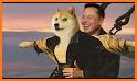 Shiba Inu related image