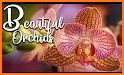 Beautiful Orchids Keyboard Background related image