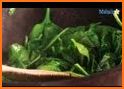 Memasak Vegan kale and spinach soup related image