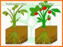 BioLeaf - Foliar Analysis related image