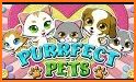 Dog-Cat Free Slot Machine Game Online related image